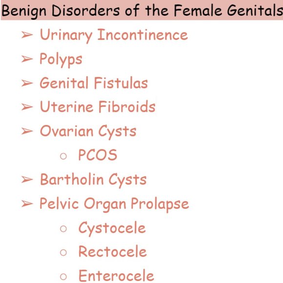 Women's Health Study Guide - Picture 7 of 9